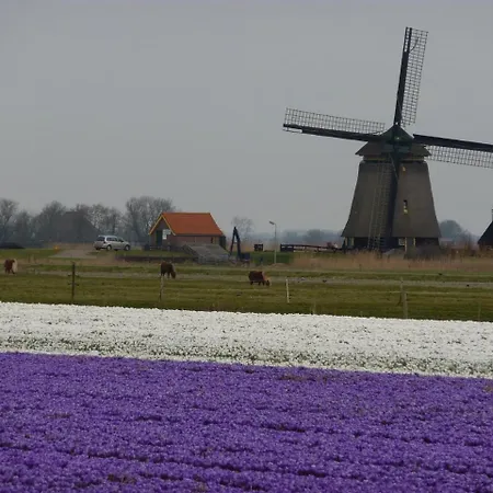 Appartamento Sterflat 157