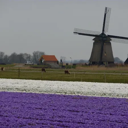 Sterflat 157 Apartament *