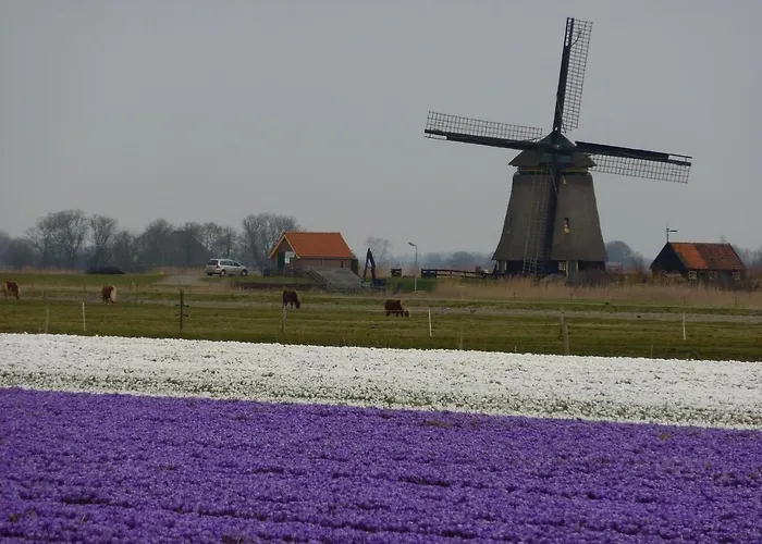 Sterflat 157 Apartman *